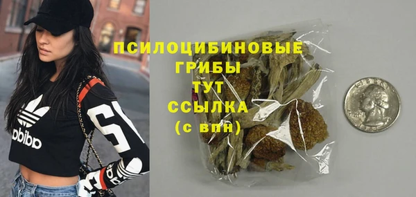 гашик Козловка