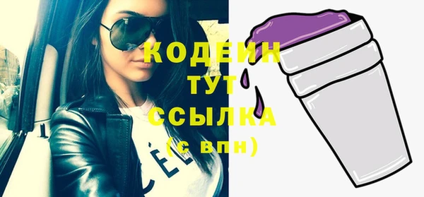 стаф Киренск