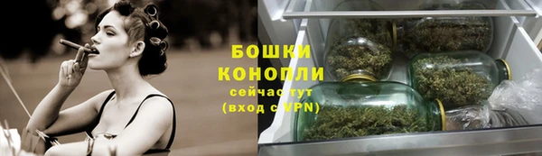 стаф Киренск