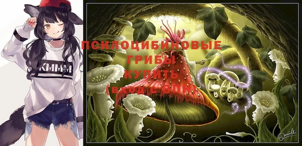 крисы Кинешма