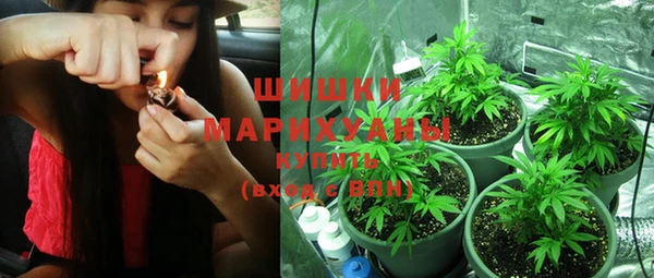 крисы Кинешма