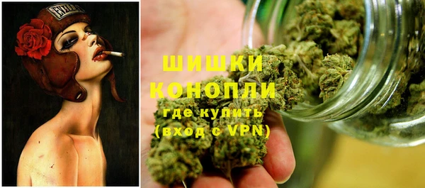 крисы Кинешма