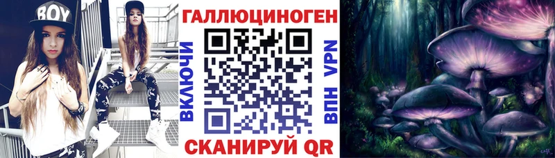даркнет состав  Хадыженск  Галлюциногенные грибы мицелий 