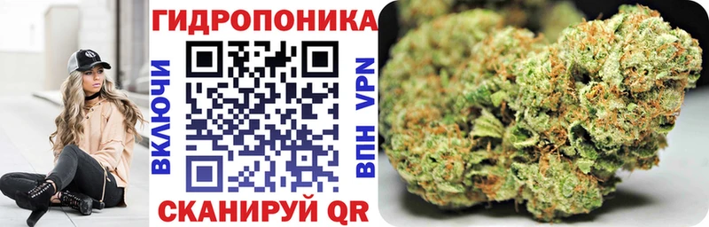 Бошки Шишки ГИДРОПОН цена наркотик Хадыженск